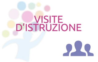Visite d'istruzione