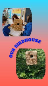 Collage_20220504_130008395